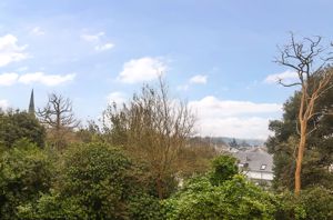 Photo 20- click for photo gallery